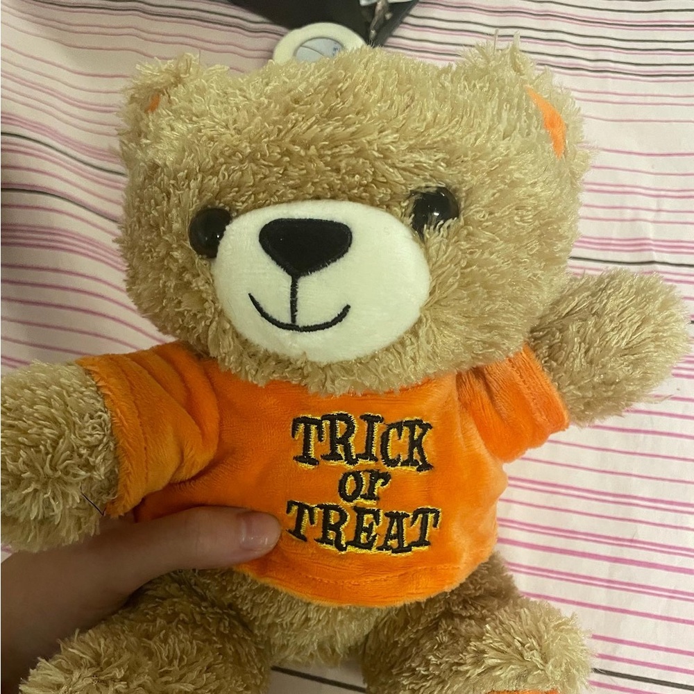 Trick or Treat Teddy Bear